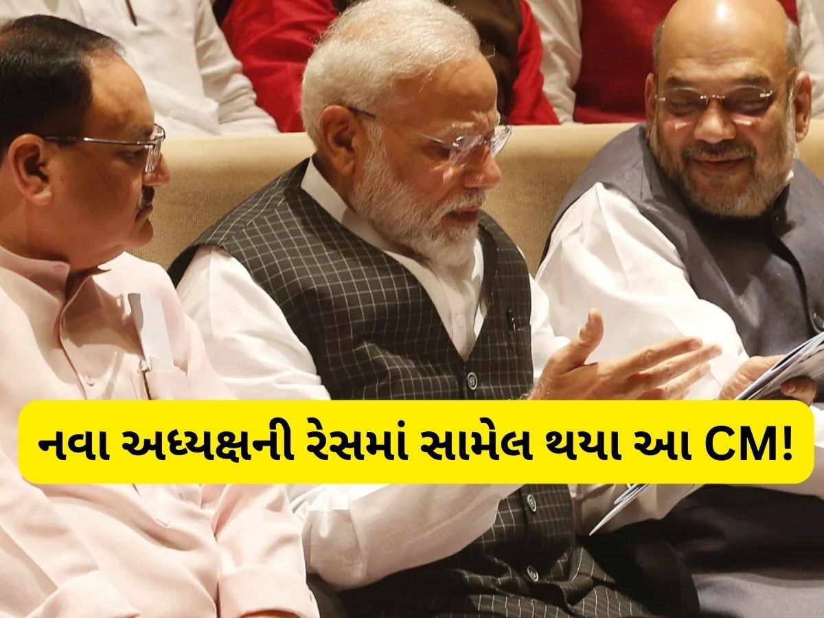 BJP અધ્યક્ષની રેસમાં એક CMના નામની અટકળો, બિહાર ચૂંટણી બાદ થઈ શકે છે જાહેરાત BJP અધ્યક્ષની રેસમાં એક CMના નામની અટકળો, બિહાર ચૂંટણી બાદ થઈ શકે છે જાહેરાત