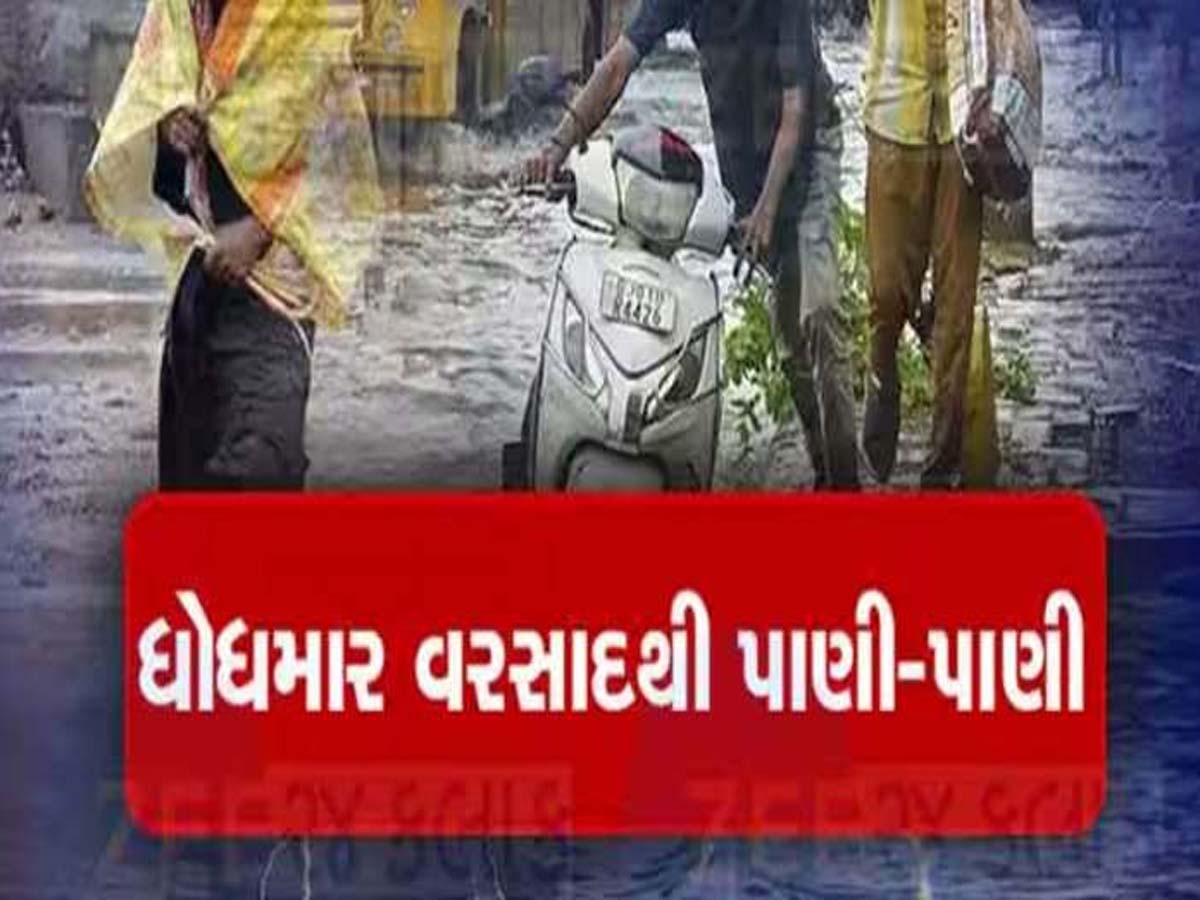 ગુજરાતમાં ચોમાસા અંગે સૌથી મોટા સમાચાર; ઉત્તર ગુજરાત પર મેઘો મહેરબાન, સૌથી વધુ વરસાદ નોંધાયો, જાણો વિગતે ગુજરાતમાં ચોમાસા અંગે સૌથી મોટા સમાચાર; ઉત્તર ગુજરાત પર મેઘો મહેરબાન, સૌથી વધુ વરસાદ નોંધાયો, જાણો વિગતે