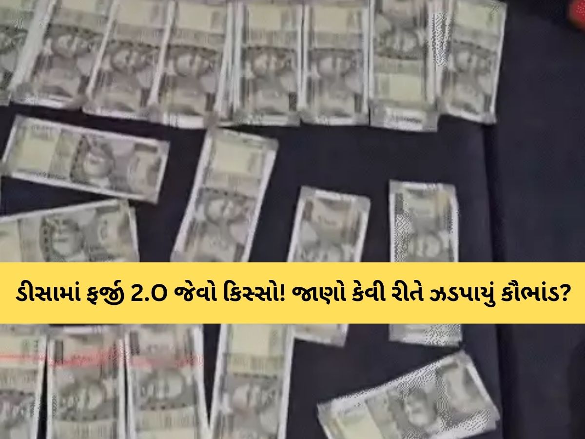 નકલી ચલણી નોટોના બંડલ...ખેતરની ઓરડીમાં ફેક્ટરી! બનાસકાંઠામાં ઝડપાયો 40 લાખની નોટોનો કાંડ નકલી ચલણી નોટોના બંડલ...ખેતરની ઓરડીમાં ફેક્ટરી! બનાસકાંઠામાં ઝડપાયો 40 લાખની નોટોનો કાંડ