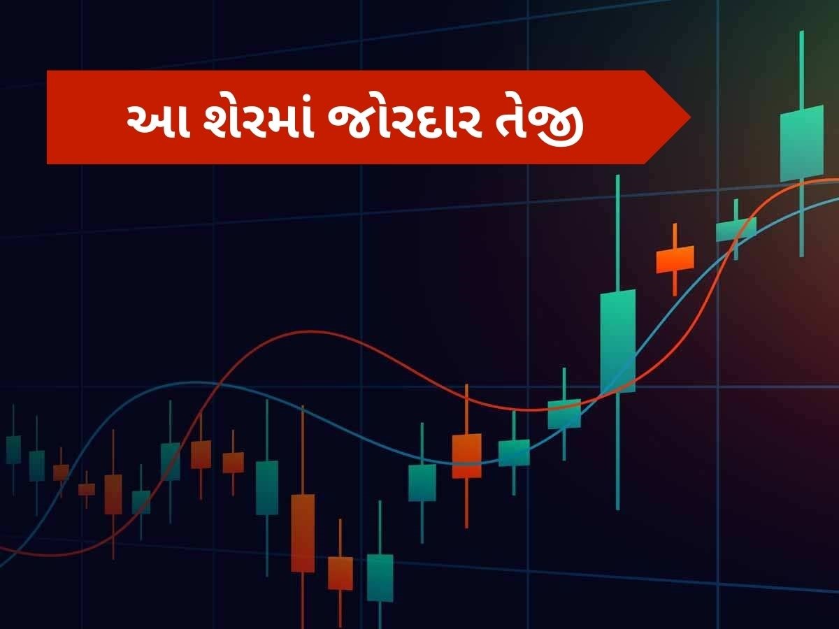 સરકારની જાહેરાતથી રોકેટ બની ગયો આ શેર, 33% વધી ગયો ભાવ, ₹229 પર પહોંચ્યો સરકારની જાહેરાતથી રોકેટ બની ગયો આ શેર, 33% વધી ગયો ભાવ, ₹229 પર પહોંચ્યો