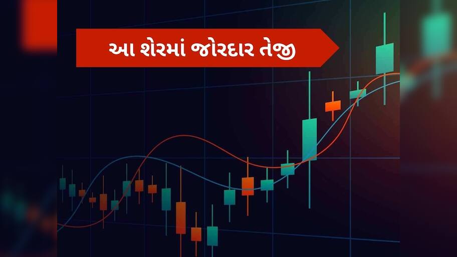 સરકારની જાહેરાતથી રોકેટ બની ગયો આ શેર, 33% વધી ગયો ભાવ, ₹229 પર પહોંચ્યો