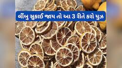 લીંબુ સુકાઈ જાય તો કચરો સમજી ફેંકી ન દેતા, આ 3 રીતે સુકાયેલા લીંબુનો કરો ઉપયોગ