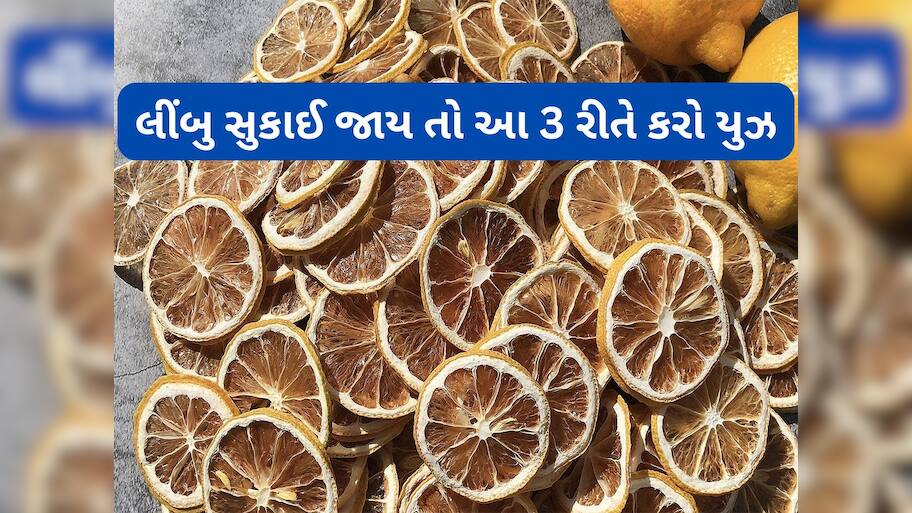 Dry Lemon: લીંબુ સુકાઈ જાય તો કચરો સમજી ફેંકી ન દેતા, આ 3 રીતે સુકાયેલા લીંબુનો કરી શકો છો ઉપયોગ