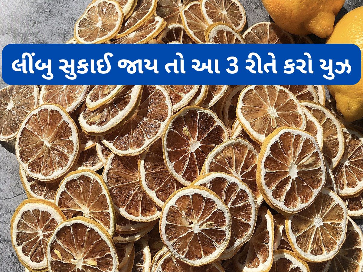 Dry Lemon: લીંબુ સુકાઈ જાય તો કચરો સમજી ફેંકી ન દેતા, આ 3 રીતે સુકાયેલા લીંબુનો કરી શકો છો ઉપયોગ Dry Lemon: લીંબુ સુકાઈ જાય તો કચરો સમજી ફેંકી ન દેતા, આ 3 રીતે સુકાયેલા લીંબુનો કરી શકો છો ઉપયોગ