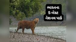 જંગલ સફારી માટે બેસ્ટ છે ભારતના આ 5 નેશનલ પાર્ક, વિદેશીઓ પણ આ જગ્યાઓ પાછળ છે પાગલ