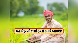PM કિસાન યોજનાનો 21મો હપ્તો ક્યારે આવશે, કરોડો ખેડૂતો માટે મહત્વના સમાચાર