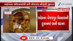 VIDEO: ચટાકેદાર ભોજન લેવામાં ગ્રાહકનો કડવો અનુભવ,જુઓ સમોસાની ચટણીમાંથી શું નીકળ્યું!