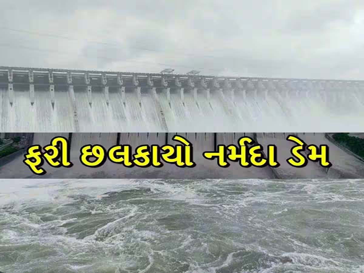 નર્મદા ડેમની સપાટી 136 મીટરને પાર; વડોદરા, ભરૂચ અને નર્મદા જિલ્લાના 27 ગામને ઍલર્ટ કરાયા નર્મદા ડેમની સપાટી 136 મીટરને પાર; વડોદરા, ભરૂચ અને નર્મદા જિલ્લાના 27 ગામને ઍલર્ટ કરાયા