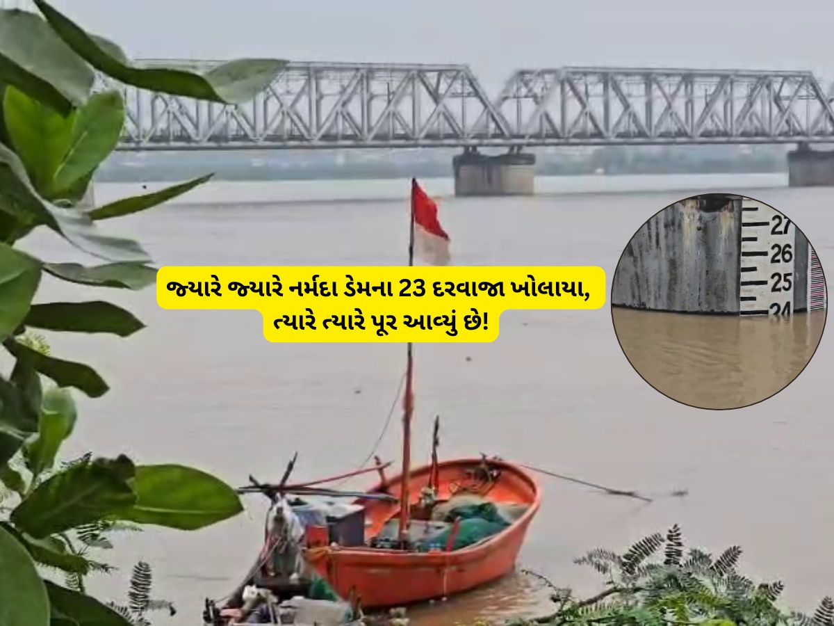 ગુજરાતના આ જિલ્લાની શાળા-કોલેજોમાં આવતીકાલે રજા જાહેર, પૂરનો છે મોટો ખતરો ગુજરાતના આ જિલ્લાની શાળા-કોલેજોમાં આવતીકાલે રજા જાહેર, પૂરનો છે મોટો ખતરો