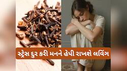 Clove Benefits: નાનકડું લવિંગ દુર કરી શકે છે ડિપ્રેશન, દવાઓ પણ આ નુસખા સામે ફેલ