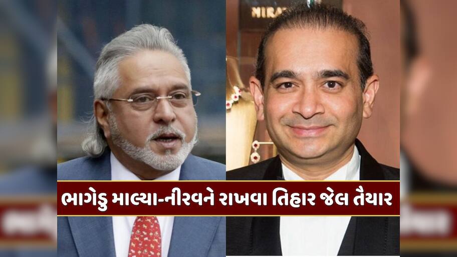 માલ્યા અને નીરવ જેવા ભાગેડુઓને રાખવા માટે તિહાર જેલ તૈયાર...ભારતે બ્રિટિશ એજન્સીને આપી સુરક્ષાની ખાતરી
