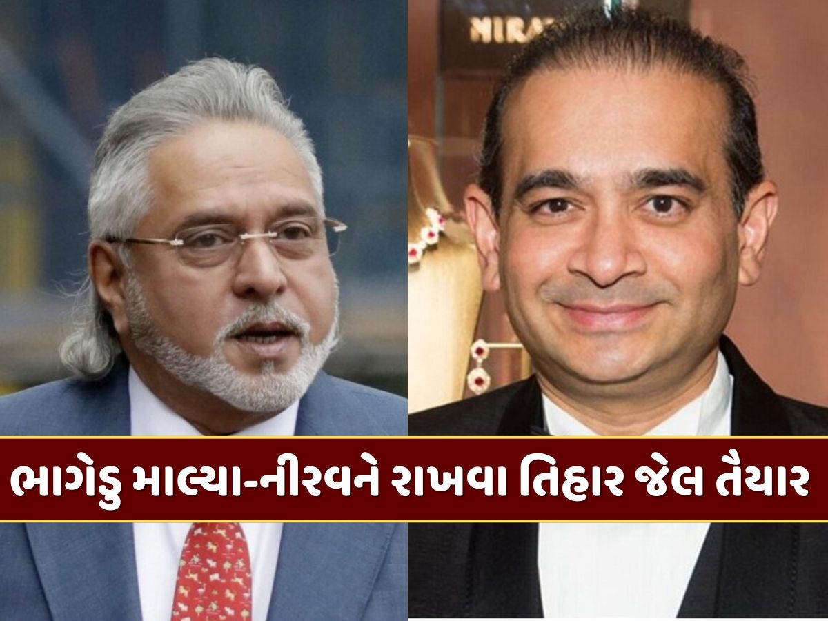 માલ્યા અને નીરવ જેવા ભાગેડુઓને રાખવા માટે તિહાર જેલ તૈયાર...ભારતે બ્રિટિશ એજન્સીને આપી સુરક્ષાની ખાતરી માલ્યા અને નીરવ જેવા ભાગેડુઓને રાખવા માટે તિહાર જેલ તૈયાર...ભારતે બ્રિટિશ એજન્સીને આપી સુરક્ષાની ખાતરી