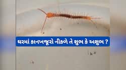 Kankhajura: જ્યોતિષ શાસ્ત્ર અનુસાર ઘરમાં કાનખજૂરો વારંવાર નીકળે તેનો અર્થ શું થાય ? 