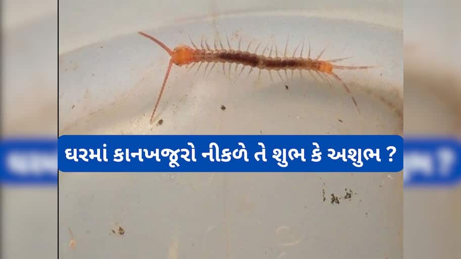 Kankhajura: જ્યોતિષ શાસ્ત્ર અનુસાર ઘરમાં કાનખજૂરો વારંવાર નીકળે તેનો અર્થ શું થાય ? જાણો શુભ અશુભ સંકેતો વિશે