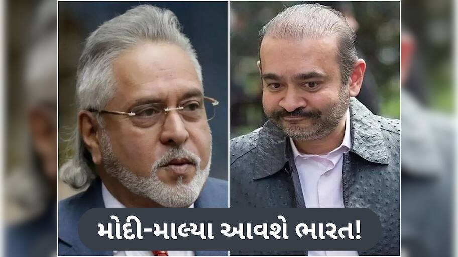  વિજય માલ્યા અને નીરવ મોદીને ટૂંક સમયમાં ભારત સોંપવામાં આવશે, લંડનની ટીમે તિહાડ જેલમાં શું તપાસ કરી?
