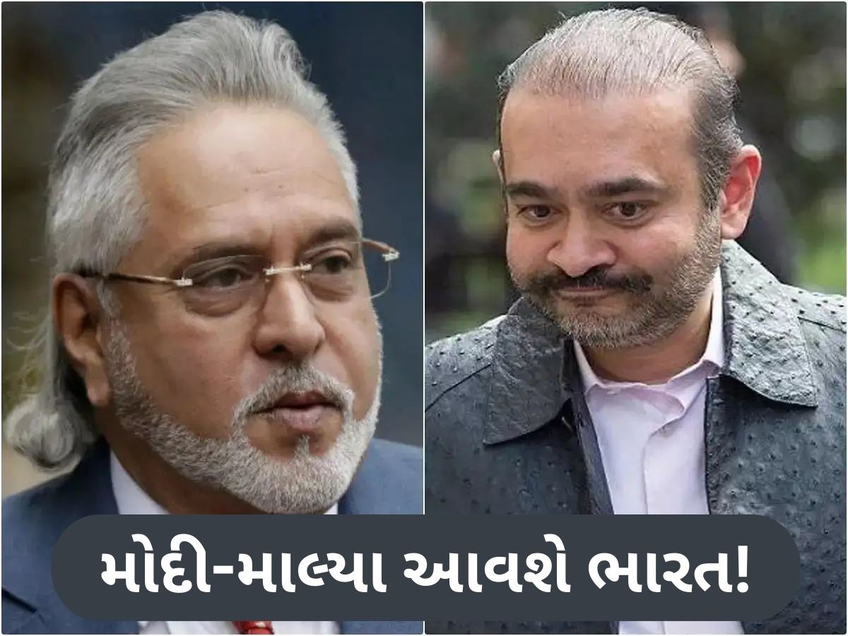 વિજય માલ્યા અને નીરવ મોદીને ટૂંક સમયમાં ભારત સોંપવામાં આવશે, લંડનની ટીમે તિહાડ જેલમાં શું તપાસ કરી? વિજય માલ્યા અને નીરવ મોદીને ટૂંક સમયમાં ભારત સોંપવામાં આવશે, લંડનની ટીમે તિહાડ જેલમાં શું તપાસ કરી?