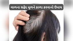 નાળિયેર તેલમાં આ 3 વસ્તુ મિક્સ કરી લગાડો, એકવારમાં મૂળમાંથી કાળા થઈ જશે સફેદ વાળ