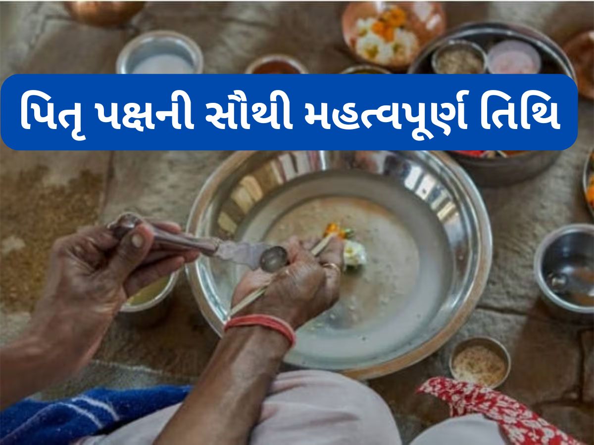 Pitru Paksha 2025: પૂર્વજોની મૃત્યુ તિથિ યાદ ન હોય તો કયા દિવસે કરવું તેમનું શ્રાદ્ધ ? જાણો શ્રાદ્ધ કરવાની વિધિ Pitru Paksha 2025: પૂર્વજોની મૃત્યુ તિથિ યાદ ન હોય તો કયા દિવસે કરવું તેમનું શ્રાદ્ધ ? જાણો શ્રાદ્ધ કરવાની વિધિ
