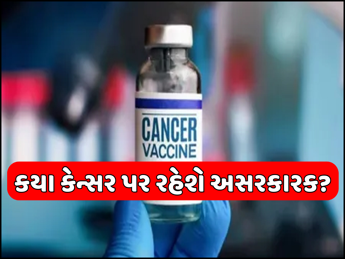 કેન્સરના દર્દીઓ માટે ખુશખબરી! રશિયાએ બનાવી લીધી વેક્સિન, કેટલી હશે કિંમત અને ક્યારે થશે ઉપલબ્ધ? કેન્સરના દર્દીઓ માટે ખુશખબરી! રશિયાએ બનાવી લીધી વેક્સિન, કેટલી હશે કિંમત અને ક્યારે થશે ઉપલબ્ધ?