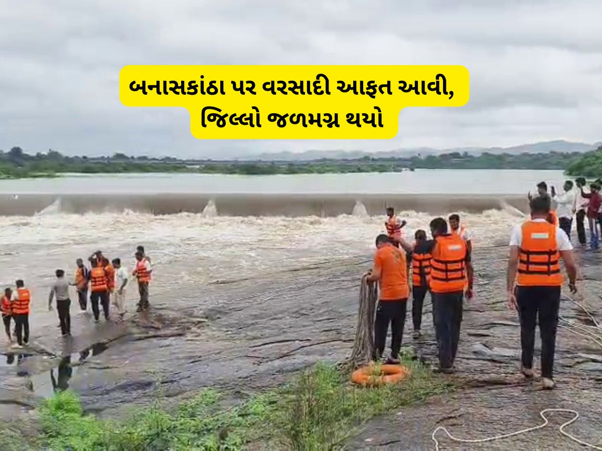 બનાસકાંઠામાં આભ ફાટ્યું! જિલ્લામાં આવતીકાલે શાળા-કોલેજોમાં રજા જાહેર, ગામોનો સંપર્ક કરાયો બનાસકાંઠામાં આભ ફાટ્યું! જિલ્લામાં આવતીકાલે શાળા-કોલેજોમાં રજા જાહેર, ગામોનો સંપર્ક કરાયો