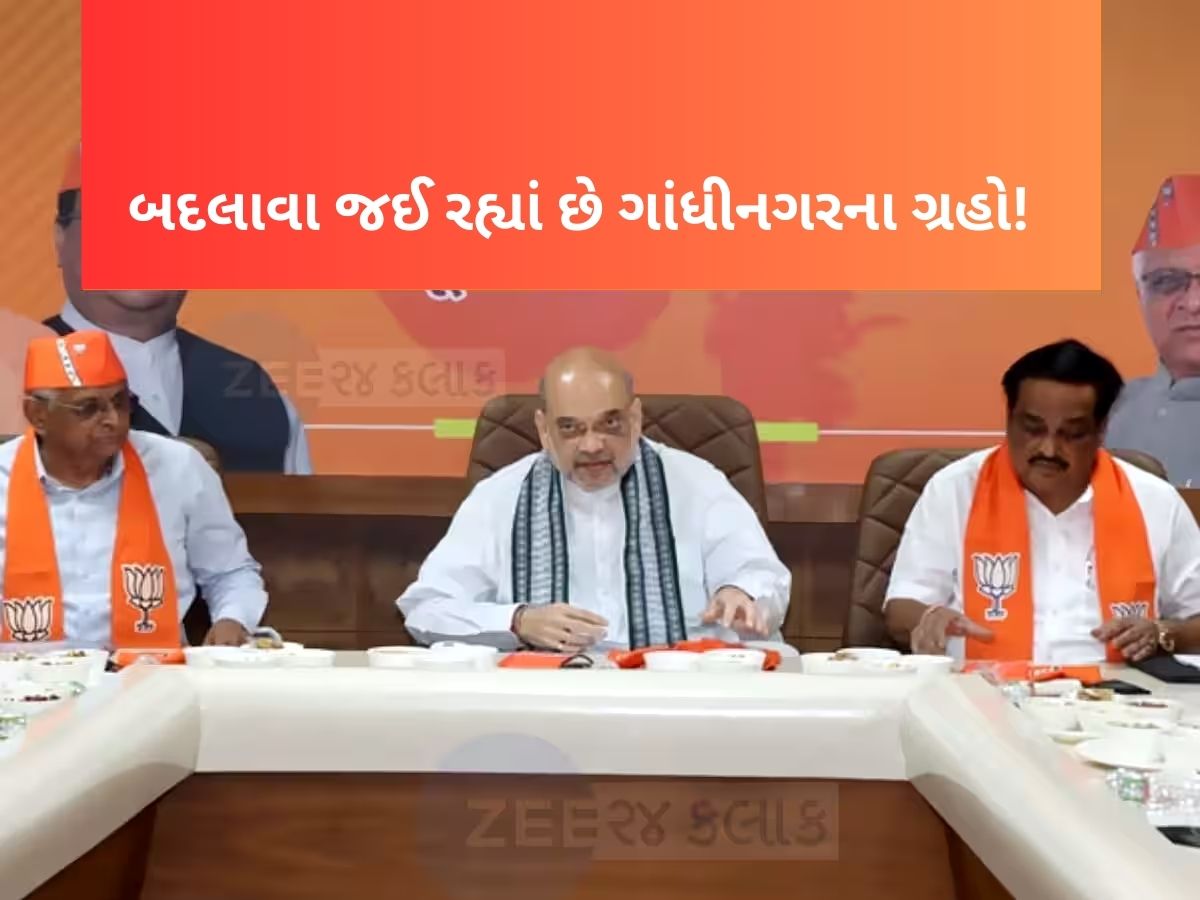 ભાજપ 2021 વાળી ફરીથી કરશે! રીપિટ કરશે પોતાની જૂની થિયરી, બે-ચાર મંત્રીઓને છોડીને બાકીનામાં ફફડાટ ફેલાયો ભાજપ 2021 વાળી ફરીથી કરશે! રીપિટ કરશે પોતાની જૂની થિયરી, બે-ચાર મંત્રીઓને છોડીને બાકીનામાં ફફડાટ ફેલાયો