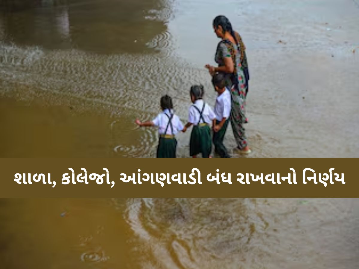 કચ્છ બાદ હવે આ જિલ્લામાં આજે શૈક્ષણિક સંસ્થાઓ બંધ: ભારે વરસાદની આગાહીને કારણે નિર્ણય કચ્છ બાદ હવે આ જિલ્લામાં આજે શૈક્ષણિક સંસ્થાઓ બંધ: ભારે વરસાદની આગાહીને કારણે નિર્ણય