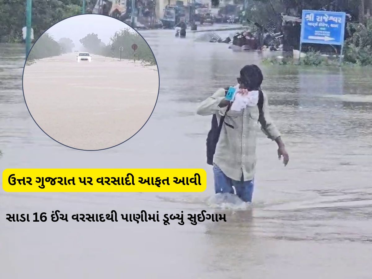 વરસાદના લેટેસ્ટ અપડેટ : ગુજરાતના કયા જિલ્લામાં કેટલો વરસાદ પડ્યો અને ક્યાં ક્યાં કેટલું પાણી ભરાયું વરસાદના લેટેસ્ટ અપડેટ : ગુજરાતના કયા જિલ્લામાં કેટલો વરસાદ પડ્યો અને ક્યાં ક્યાં કેટલું પાણી ભરાયું
