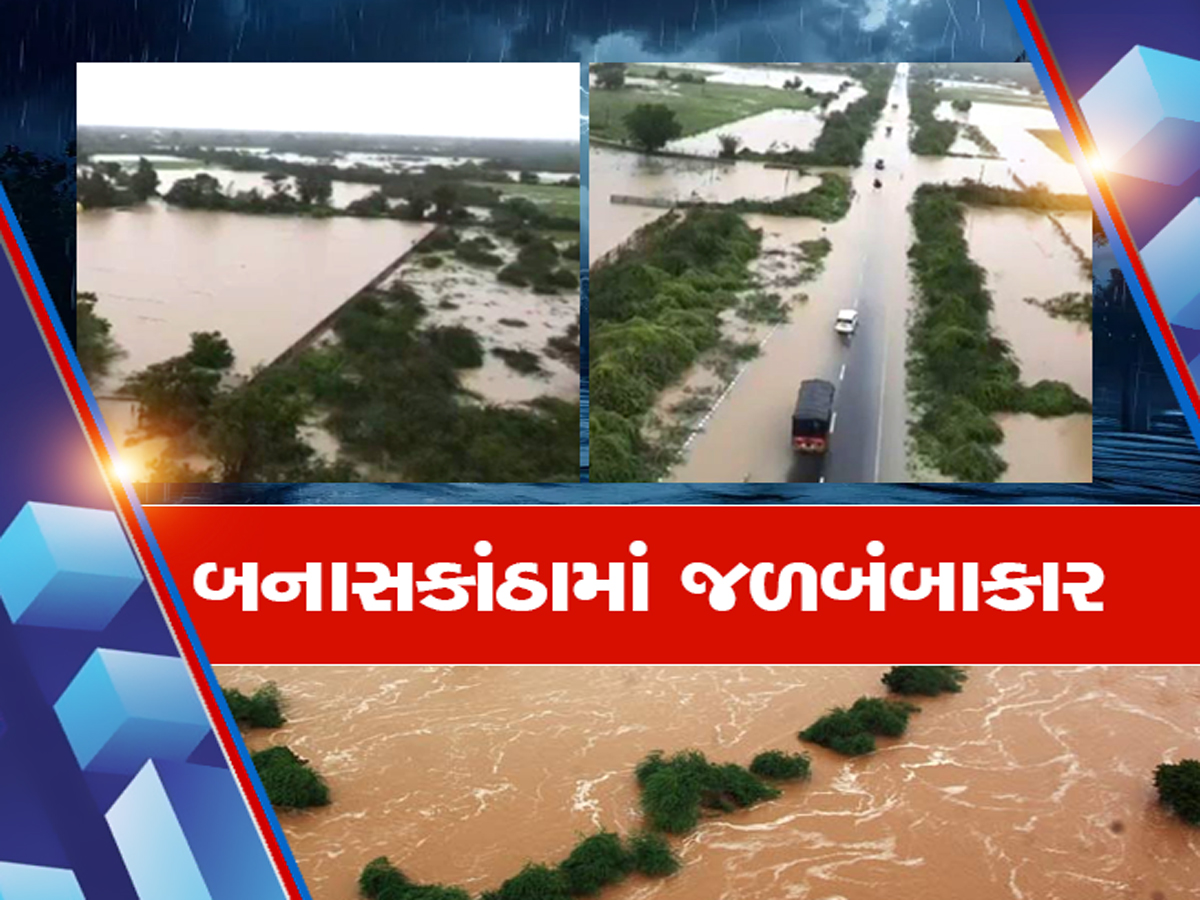 બનાસકાંઠામાં ભારે વરસાદે મચાવી તબાહી, જળબંબાકારથી પાણીમાં ડૂબ્યું સુઈગામ; ઘર અને ખેતરો થયા પાણીમાં તરબોળ બનાસકાંઠામાં ભારે વરસાદે મચાવી તબાહી, જળબંબાકારથી પાણીમાં ડૂબ્યું સુઈગામ; ઘર અને ખેતરો થયા પાણીમાં તરબોળ