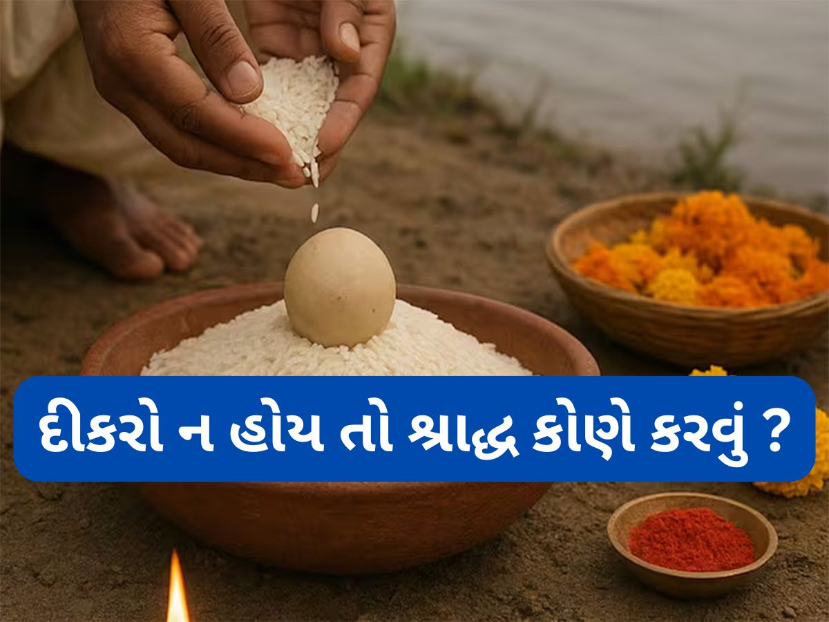 Pitru Paksha 2025: દીકરો ન હોય તો કોણ કરી શકે શ્રાદ્ધ ? જાણો પિતૃ પક્ષ સંબંધિત સૌથી મહત્વનો નિયમ Pitru Paksha 2025: દીકરો ન હોય તો કોણ કરી શકે શ્રાદ્ધ ? જાણો પિતૃ પક્ષ સંબંધિત સૌથી મહત્વનો નિયમ