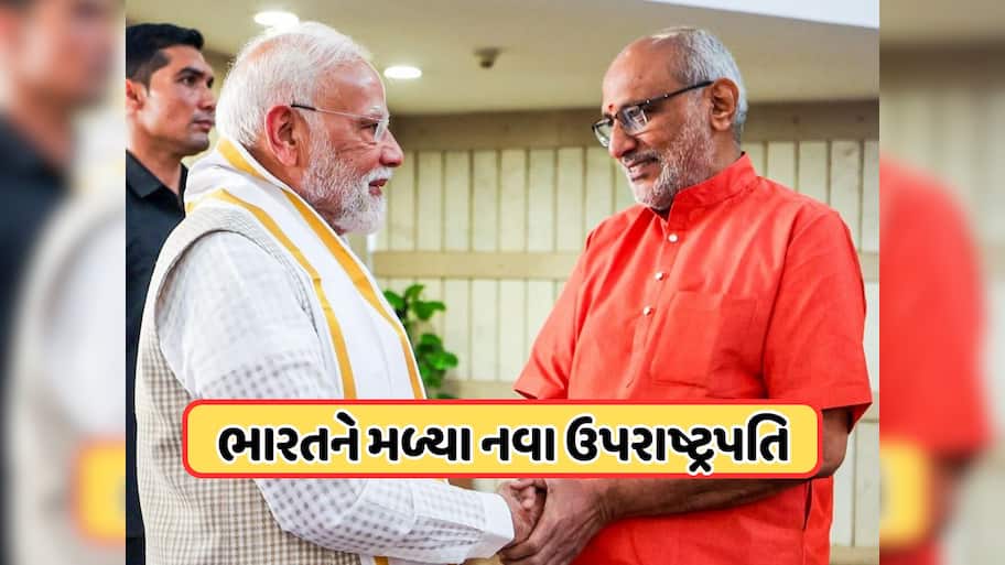 સીપી રાધાકૃષ્ણન બનશે ભારતના નવા ઉપરાષ્ટ્રપતિ, ચૂંટણીમાં વિપક્ષના ઉમેદવાર સુદર્શન રેડ્ડીને હરાવ્યા