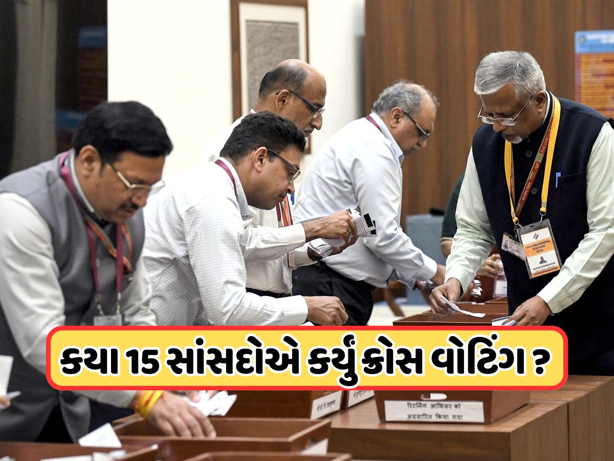 ઉપરાષ્ટ્રપતિ ચૂંટણીમાં 15 સાંસદોએ કર્યું ક્રોસ વોટિંગ, ગદ્દારોને શોધી રહ્યો છે વિપક્ષ, આ પક્ષના નેતાઓ પર શક ઉપરાષ્ટ્રપતિ ચૂંટણીમાં 15 સાંસદોએ કર્યું ક્રોસ વોટિંગ, ગદ્દારોને શોધી રહ્યો છે વિપક્ષ, આ પક્ષના નેતાઓ પર શક