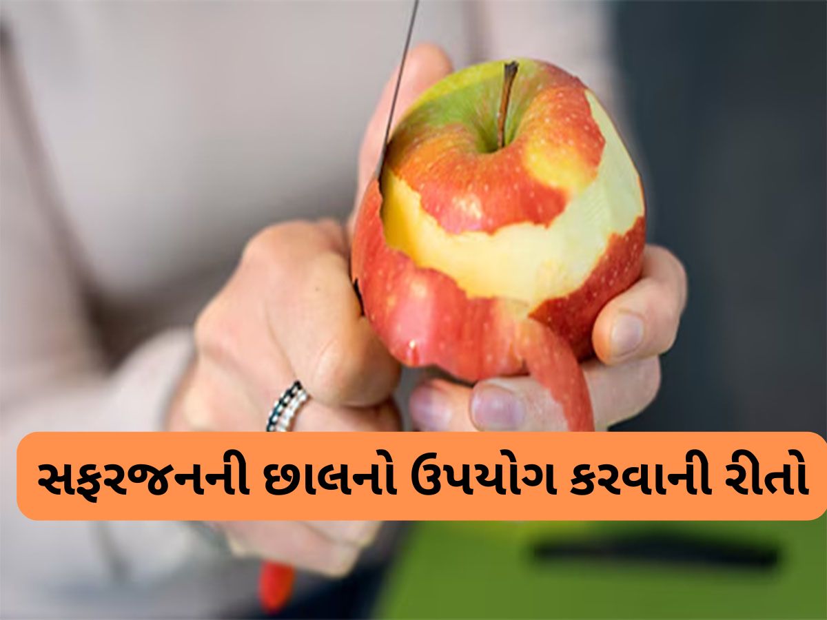 Apple Peel Uses: કચરો સમજી ફેંકી ન દો સફરજનની છાલ, આ 3 કામમાં વાપરશો તો કહેવાશો સ્માર્ટ Apple Peel Uses: કચરો સમજી ફેંકી ન દો સફરજનની છાલ, આ 3 કામમાં વાપરશો તો કહેવાશો સ્માર્ટ