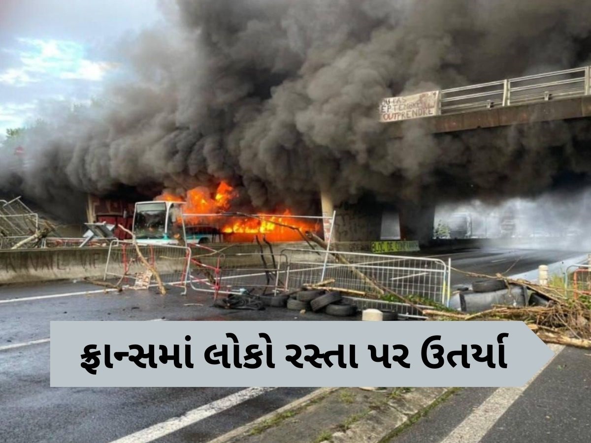 France Protests: ફ્રાન્સની સરકાર વિરુદ્ધ લોકોમાં ભારે રોષ, ઠેર-ઠેર વિરોધ પ્રદર્શન, રસ્તાઓ પર તોડફોડ-આગજની France Protests: ફ્રાન્સની સરકાર વિરુદ્ધ લોકોમાં ભારે રોષ, ઠેર-ઠેર વિરોધ પ્રદર્શન, રસ્તાઓ પર તોડફોડ-આગજની