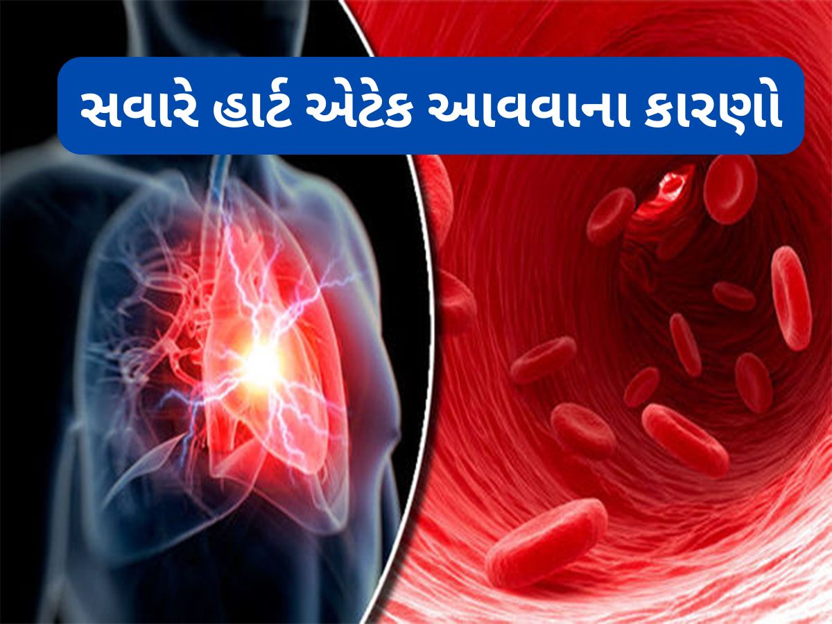 Heart Attack: કયા સમયે હાર્ટ એટેક આવવાનું જોખમ સૌથી વધુ ? ડોક્ટરે જણાવેલા કારણો પણ જાણો Heart Attack: કયા સમયે હાર્ટ એટેક આવવાનું જોખમ સૌથી વધુ ? ડોક્ટરે જણાવેલા કારણો પણ જાણો