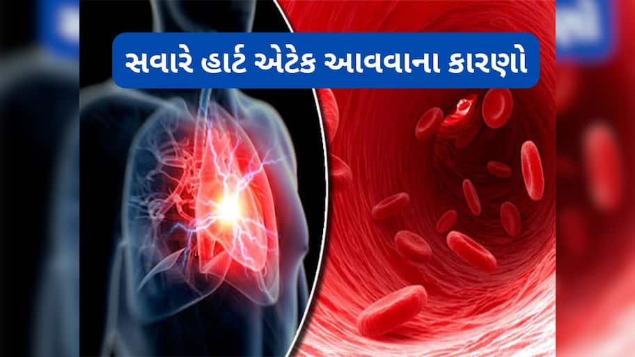 Heart Attack: કયા સમયે હાર્ટ એટેક આવવાનું જોખમ સૌથી વધુ ? ડોક્ટરે જણાવેલા કારણો પણ જાણો