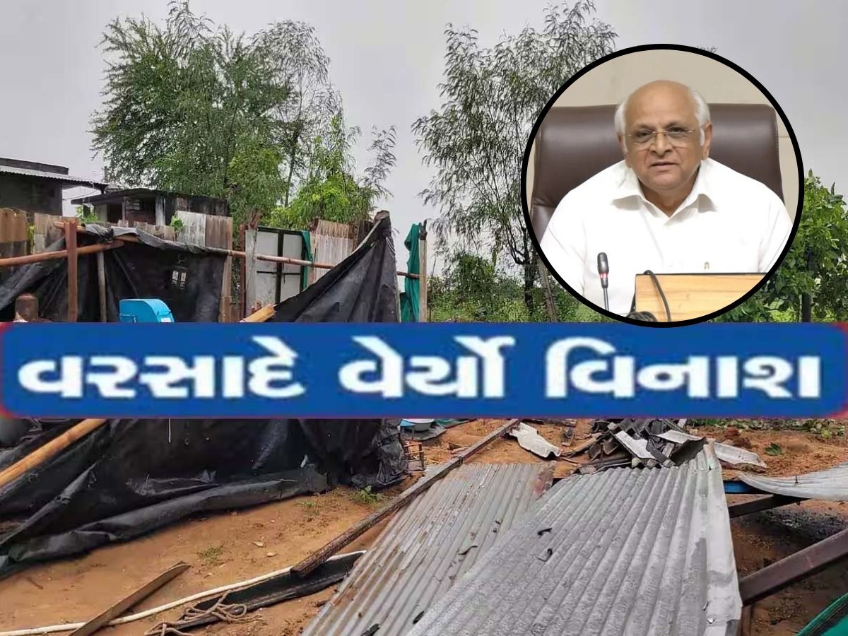 CM ભૂપેન્દ્ર પટેલ આજે પહોંચશે બનાસકાંઠા! છઠ્ઠે દિવસે પણ સૂઈગામ સહિતના વિસ્તારોમાં જનજીવન અસ્તવ્યસ્ત CM ભૂપેન્દ્ર પટેલ આજે પહોંચશે બનાસકાંઠા! છઠ્ઠે દિવસે પણ સૂઈગામ સહિતના વિસ્તારોમાં જનજીવન અસ્તવ્યસ્ત