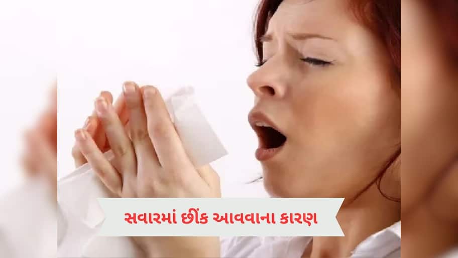  સવારે ઉઠતાની સાથે જ તમને છીંક આવવા લાગે છે, તો હોઈ શકે છે આ વસ્તુની એલર્જી