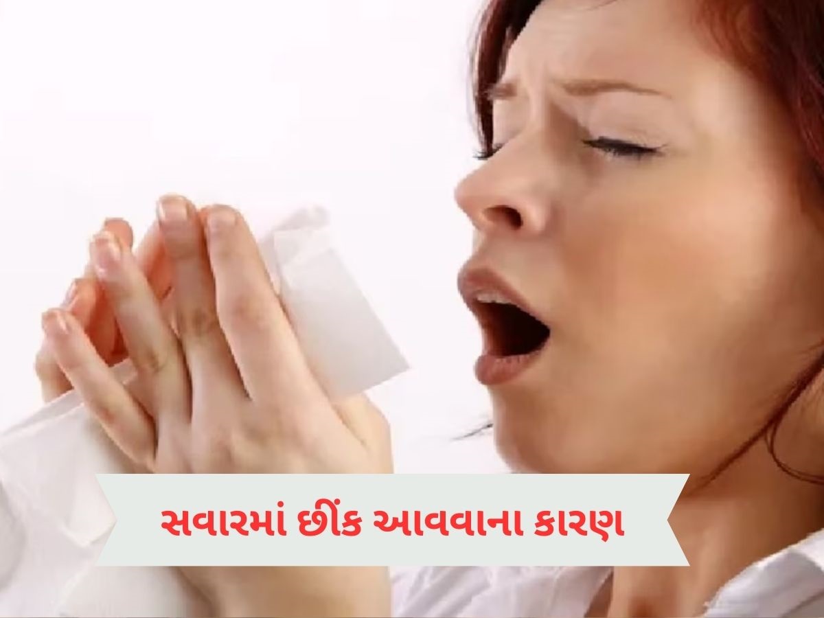સવારે ઉઠતાની સાથે જ તમને છીંક આવવા લાગે છે, તો હોઈ શકે છે આ વસ્તુની એલર્જી સવારે ઉઠતાની સાથે જ તમને છીંક આવવા લાગે છે, તો હોઈ શકે છે આ વસ્તુની એલર્જી