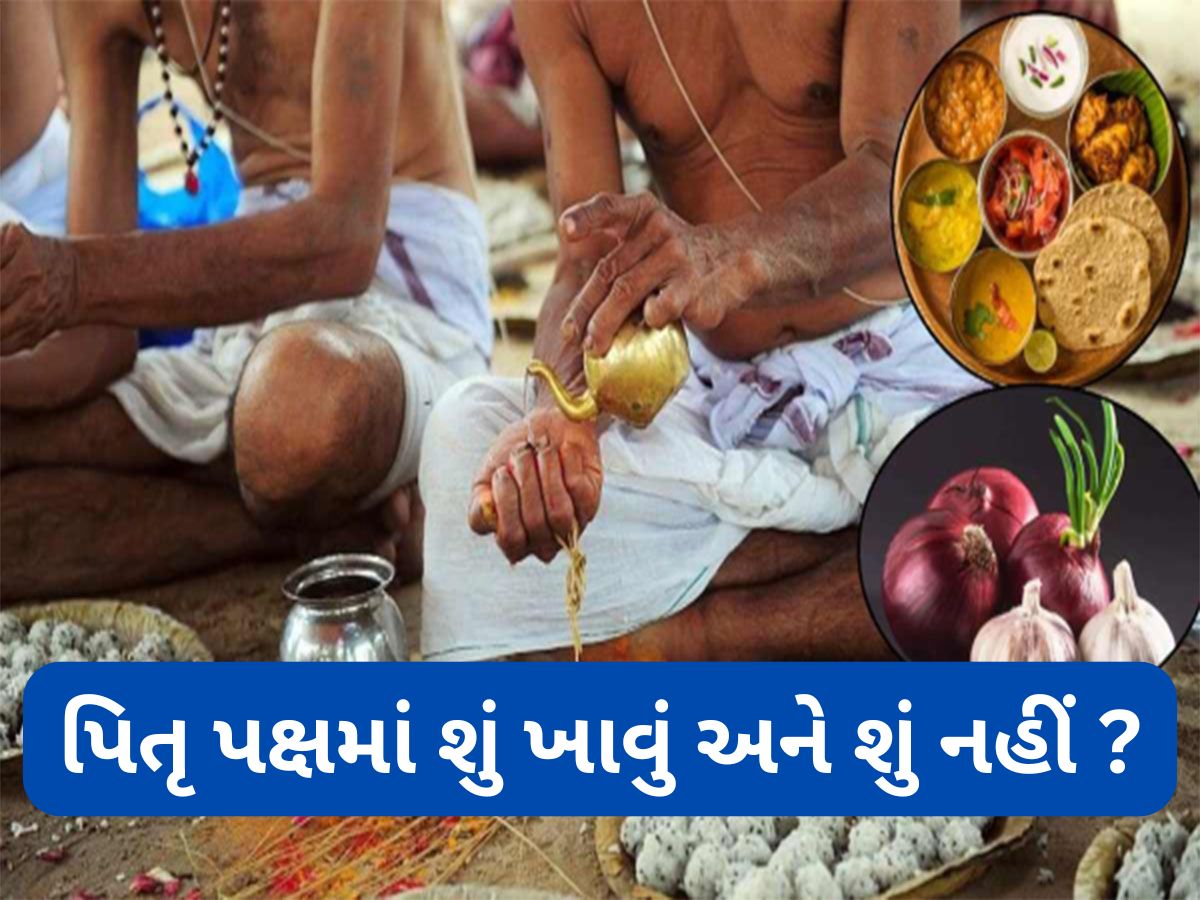 Pitru Paksha 2025: પિતૃ પક્ષમાં ભુલથી પણ ખાવી નહીં આ વસ્તુઓ, તર્પણ અને શ્રાદ્ધ કર્યાનું નહીં મળે ફળ Pitru Paksha 2025: પિતૃ પક્ષમાં ભુલથી પણ ખાવી નહીં આ વસ્તુઓ, તર્પણ અને શ્રાદ્ધ કર્યાનું નહીં મળે ફળ