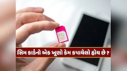સિમ કાર્ડનો એક ખૂણો કેમ કપાયેલો હોય છે ? 99 ટકા લોકો નહીં જાણતા હોય જવાબ 