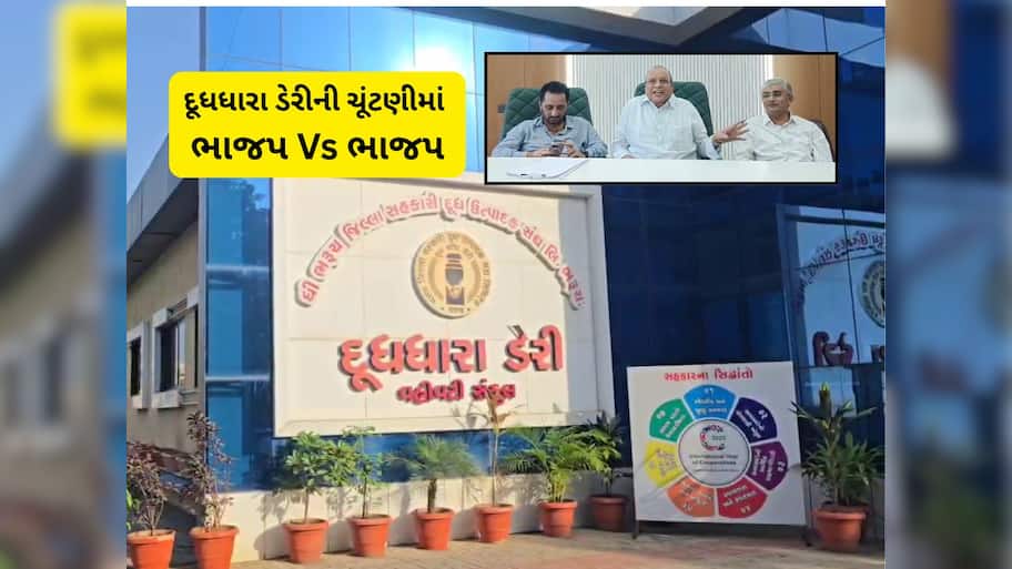 ગુજરાતની વધુ એક ડેરીની ચૂંટણીમાં ભાજપ Vs ભાજપનો ઘાટ સર્જાયો! ગાંધીનગરથી આવેલા મેન્ડેટનો ન ચાલ્યો જાદુ 