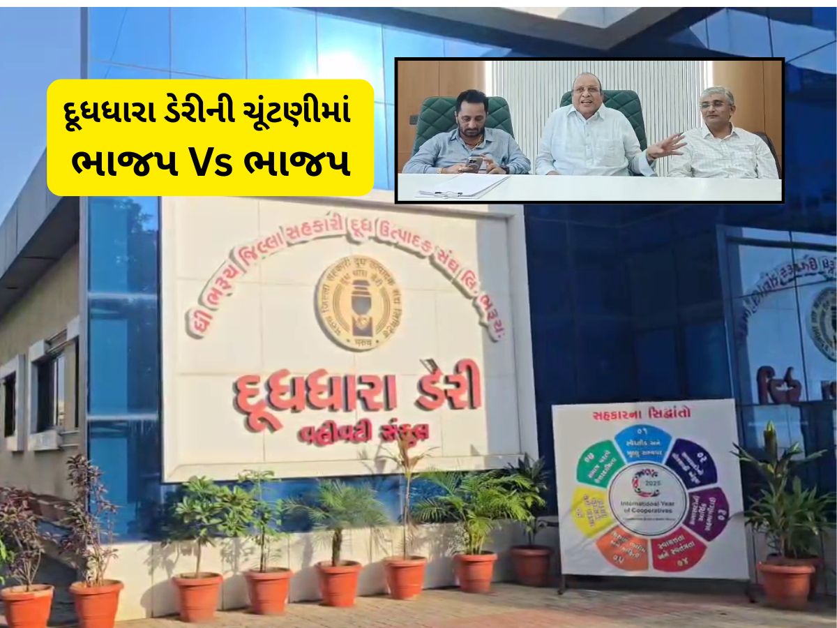ગુજરાતની વધુ એક ડેરીની ચૂંટણીમાં ભાજપ Vs ભાજપનો ઘાટ સર્જાયો! ગાંધીનગરથી આવેલા મેન્ડેટનો ન ચાલ્યો જાદુ ગુજરાતની વધુ એક ડેરીની ચૂંટણીમાં ભાજપ Vs ભાજપનો ઘાટ સર્જાયો! ગાંધીનગરથી આવેલા મેન્ડેટનો ન ચાલ્યો જાદુ
