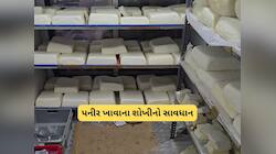 હોટલમાં પનીર સબ્જીનો ઓર્ડર કરતા પહેલા સો વખત વિચારજો, સુરતથી પકડાયુ 315 Kg નકલી પનીર