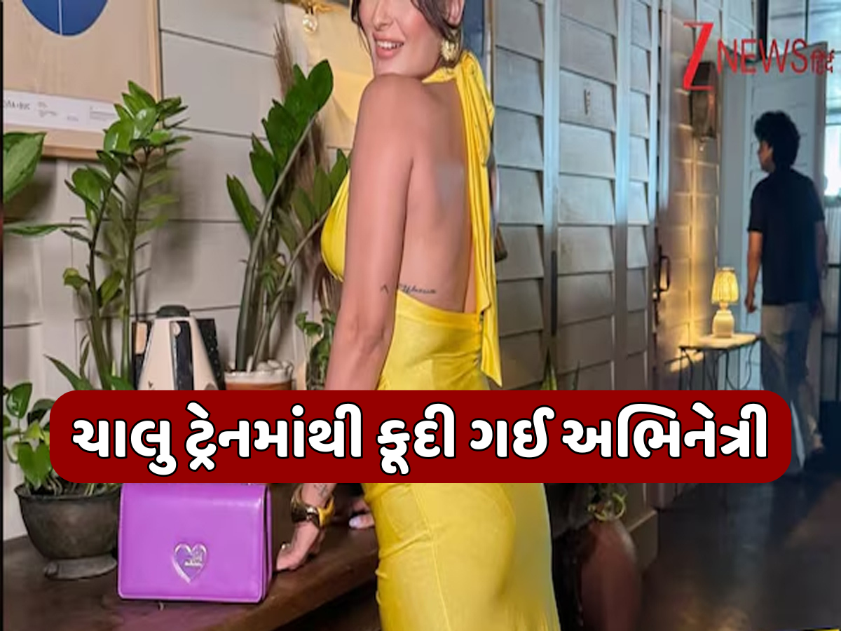 31 વર્ષની હસીનાએ ચાલુ ટ્રેનમાંથી લગાવી છલાંગ, હાલત ખૂબ જ ગંભીર; શરીર પર ઘણા ઈજાના નિશાન 31 વર્ષની હસીનાએ ચાલુ ટ્રેનમાંથી લગાવી છલાંગ, હાલત ખૂબ જ ગંભીર; શરીર પર ઘણા ઈજાના નિશાન