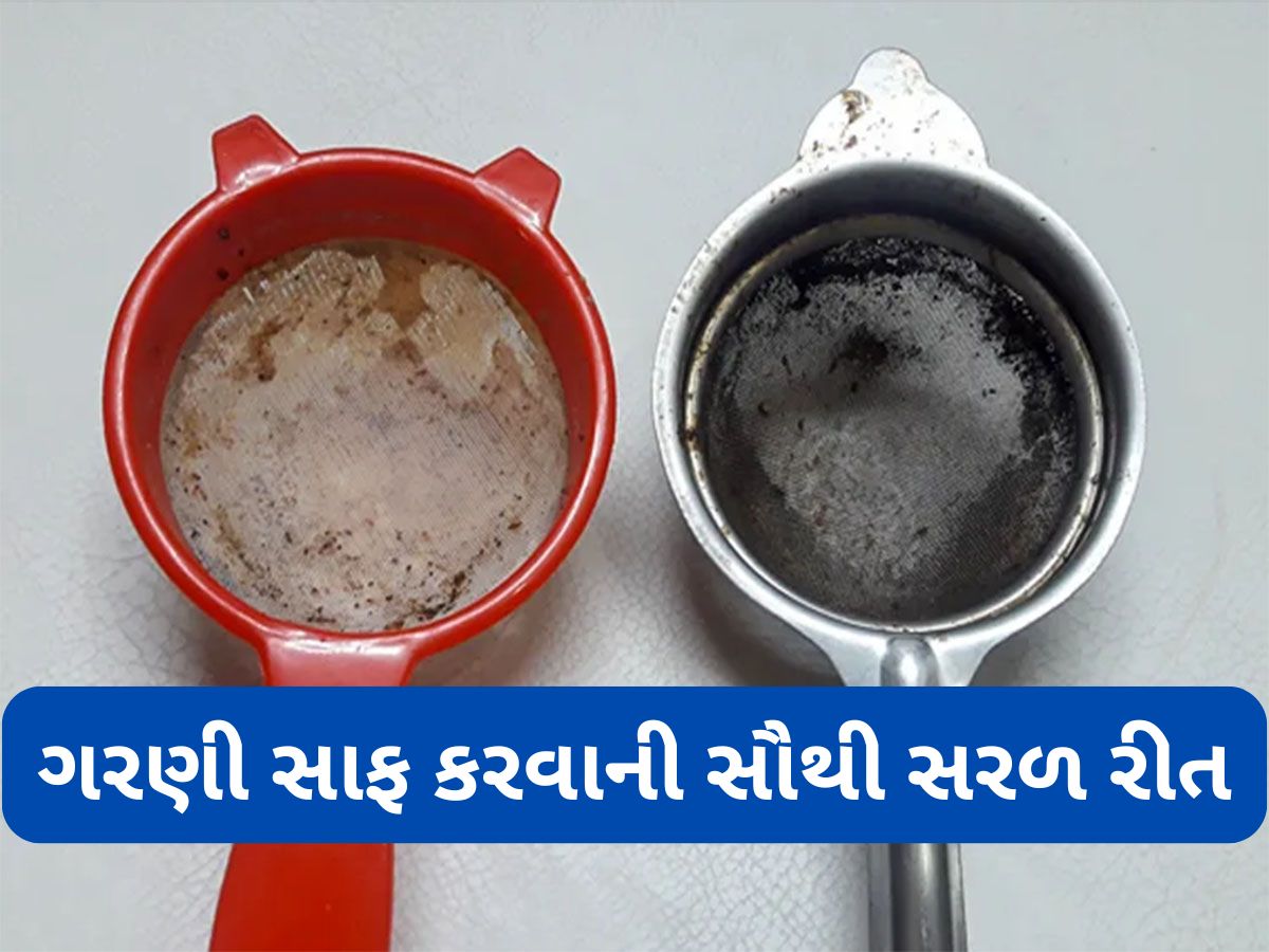 Tea Strainer: ચાની ગરણી સાફ કરવાની સરળ રીત, સ્ક્રબરથી ઘસવાની જરૂર પણ નહીં પડે, મિનિટોમાં જાળીમાંથી નીકળી જશે કચરો Tea Strainer: ચાની ગરણી સાફ કરવાની સરળ રીત, સ્ક્રબરથી ઘસવાની જરૂર પણ નહીં પડે, મિનિટોમાં જાળીમાંથી નીકળી જશે કચરો