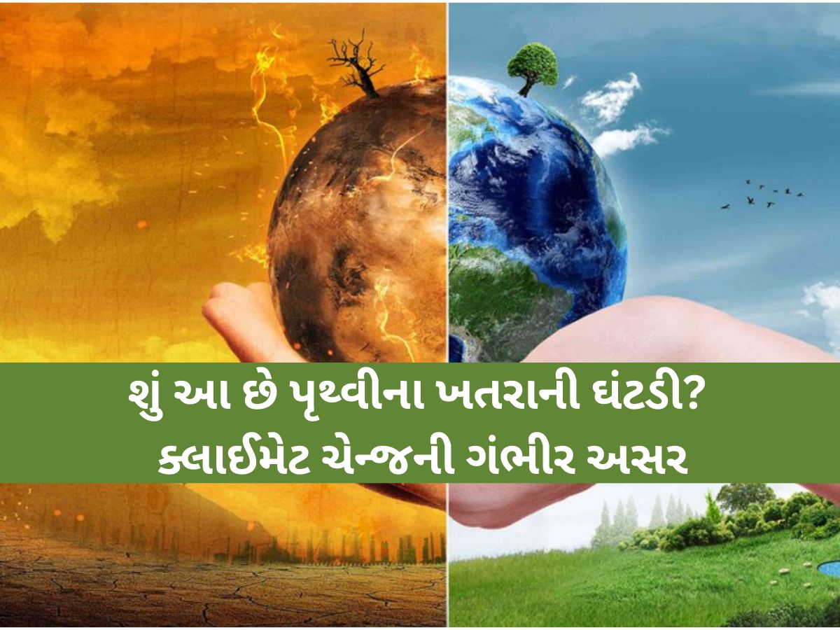 પૃથ્વીના ઈતિહાસમાં ઓગસ્ટ-2025 ત્રીજો સૌથી ગરમ મહિનો! શું આ છે પૃથ્વીના ખતરાની ઘંટડી? રિપોર્ટમાં મોટો દાવો પૃથ્વીના ઈતિહાસમાં ઓગસ્ટ-2025 ત્રીજો સૌથી ગરમ મહિનો! શું આ છે પૃથ્વીના ખતરાની ઘંટડી? રિપોર્ટમાં મોટો દાવો