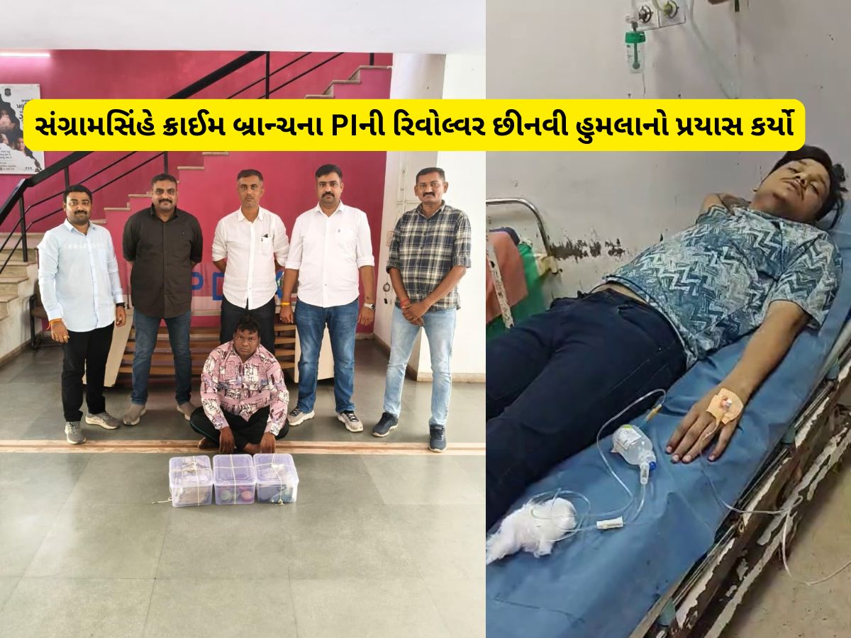 રામોલ લૂંટ વિથ અપહરણ કેસમાં નવો વળાંક : PIની રિવોલ્વર છીનવી આરોપી સંગ્રામસિંહે ભાગવાનો પ્રયાસ કર્યો રામોલ લૂંટ વિથ અપહરણ કેસમાં નવો વળાંક : PIની રિવોલ્વર છીનવી આરોપી સંગ્રામસિંહે ભાગવાનો પ્રયાસ કર્યો