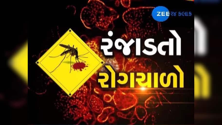 અમદાવાદમાં જીવલણે રોગોનો આતંક! સોલા સિવિલમાં જ 7 દિવસમાં 15 હજાર કેસ, લોકોની ચિંતા વધી!