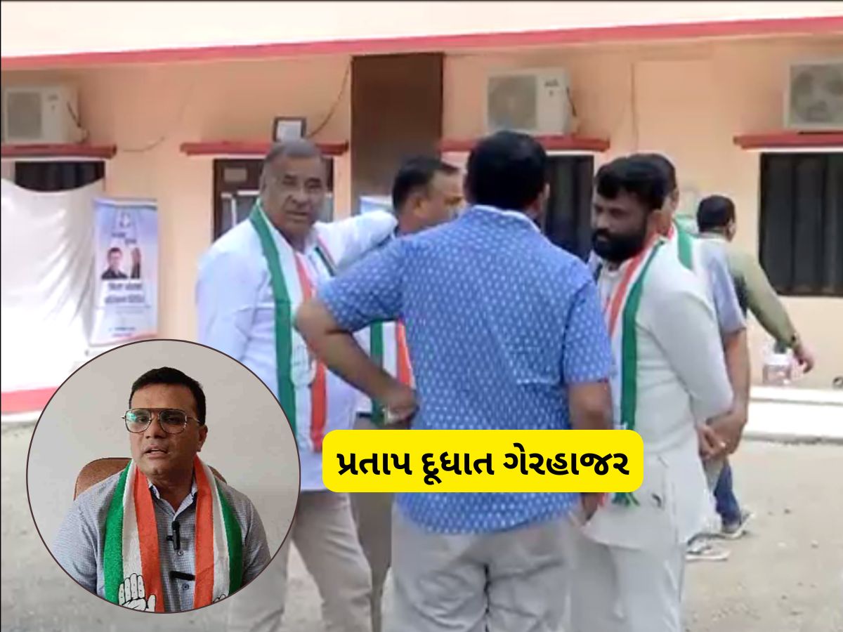 પ્રતાપ દૂધાતના પેટમાં શું દુખ્યું! કોંગ્રેસના કાર્યક્રમમાં ગેરહાજર રહેતા હાઈકમાન્ડ લાલઘુમ, આવ્યો આદેશ પ્રતાપ દૂધાતના પેટમાં શું દુખ્યું! કોંગ્રેસના કાર્યક્રમમાં ગેરહાજર રહેતા હાઈકમાન્ડ લાલઘુમ, આવ્યો આદેશ
