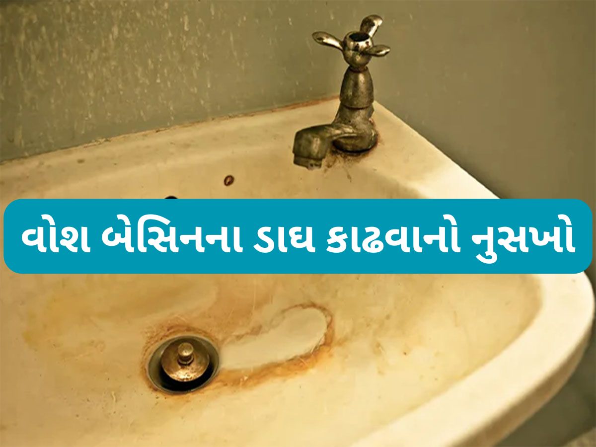 Cleaning Hacks: વોશ બેસિનના પીળા ડાઘ કાઢવા આ વસ્તુ લગાડો, સ્ક્રબરથી ઘસવું પણ નહીં પડે અને ડાઘ સાફ થઈ જશે Cleaning Hacks: વોશ બેસિનના પીળા ડાઘ કાઢવા આ વસ્તુ લગાડો, સ્ક્રબરથી ઘસવું પણ નહીં પડે અને ડાઘ સાફ થઈ જશે